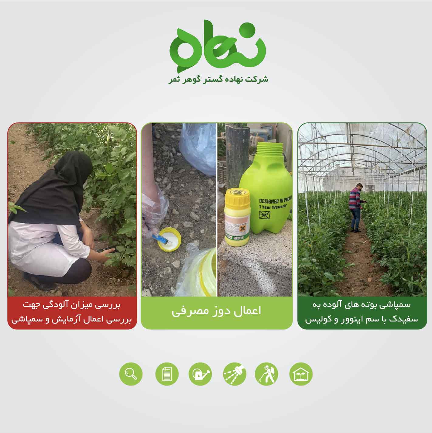 رضایت مشتری از استفاده از اینوور و کولیس